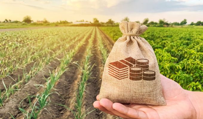 Zdjęcie przedstawia worek z pieniędzmi na tle pola uprawnego