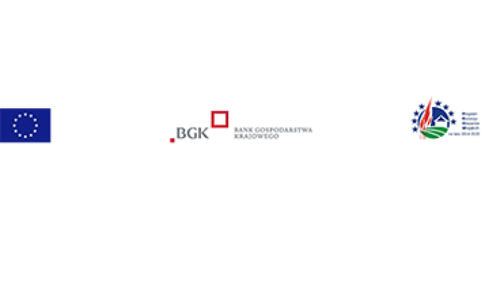 Logo Banku Gospodarstwa Krajowego
